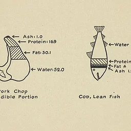 Stories of Science: Feasting on Chemistry