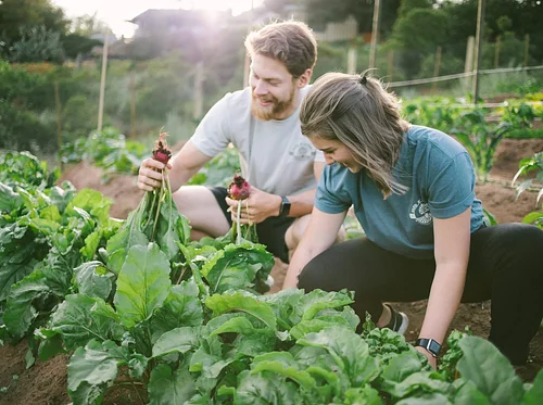 Farm School Summer Semester