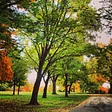 Lafayette Park Conservancy