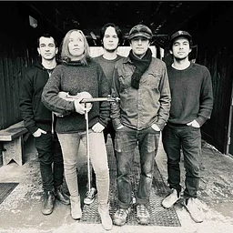 The Mammals