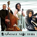 The Vintage Vibe Tribe Summer Concert