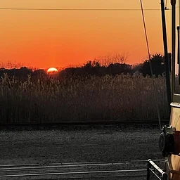 Golden Hour & Sunset Trolley Rides