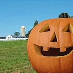 Trick-or-Treating @ Hilltop Hanover Farm