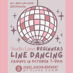 Beginner Line Dancing at Pluck Farm!