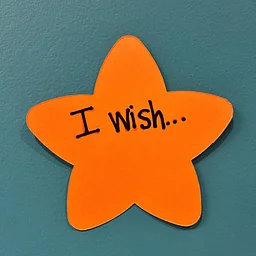 What's Your New Year's Wish? (January 2-16)