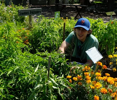 Urban Farm Volunteers