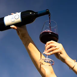 Cabi & Cabernet