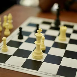 Adult Chess Club