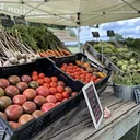 Green Earth Harvest Farm Stand