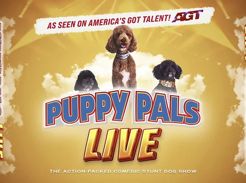 LIVE PERFORMANCE: "Puppy Pals Live!" @ A Center for the Arts, Fergus Falls