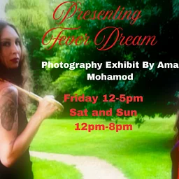 Fever Dream Exhibit @ Art in the Atrium