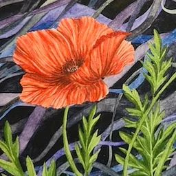 Exploring Florals with Watercolor One-Day Workshop