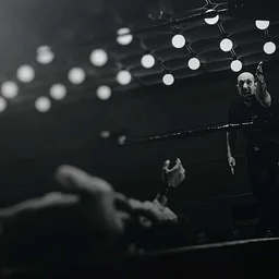 WWE: Holiday Tour