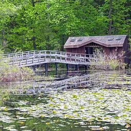 Wildflower Island Open Gate Day (ages 10+, no dogs)