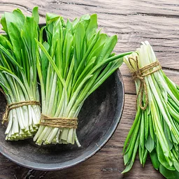 Garlic 101