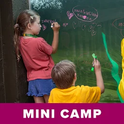 Mini Camp: Brainy Beasts