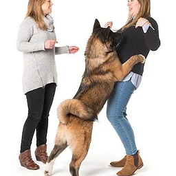 Impulse Control | LECA 103 | 4-week course