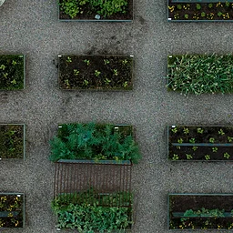 Growing by the Seasons with Terance