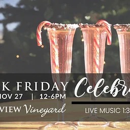 Black Friday Celebration at grandview