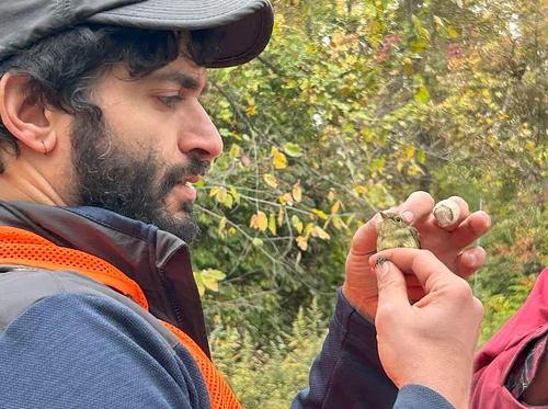 WEATHER RESCHEDULE – Birding Pittsburgh’s Parks – Bird Lab at Hays Woods