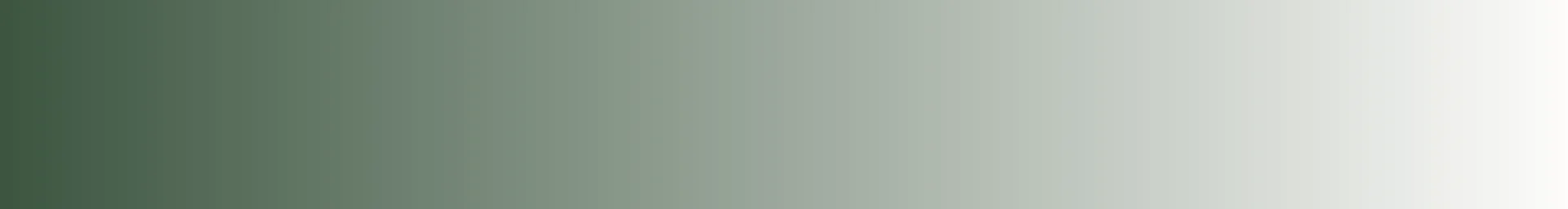 Firefly Cafe