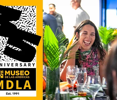 VIP 35th Anniversary Gala Dinner