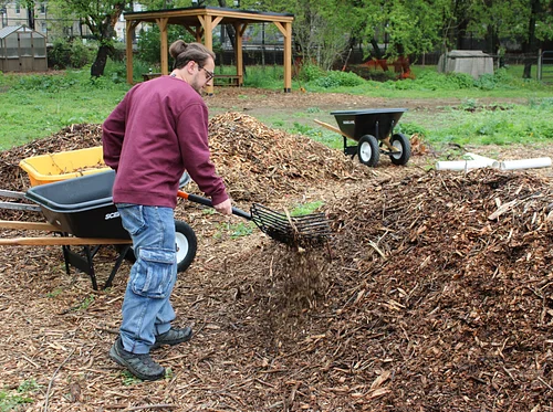 Garden to Table: Starting with Soil