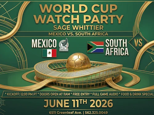 Mexico vs South Africa: World Cup