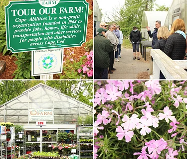 Cape Abilities Farm Tour