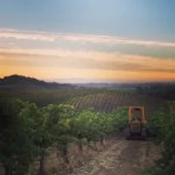 Truchard Vineyards