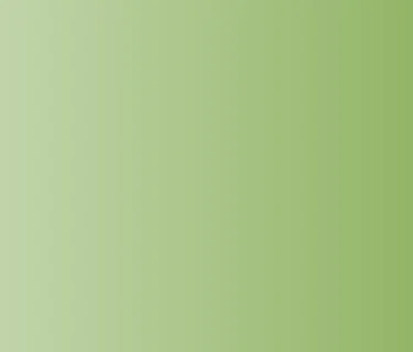 2nd Annual North Florida Renaissance Faire