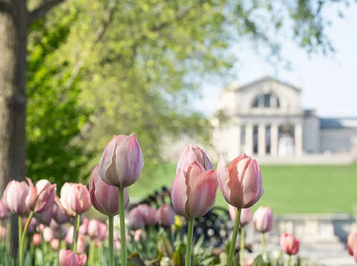 SLAM Cinema—Fellini Satyricon