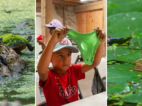 Understanding Herps with DIY Slime (Ages 4+)