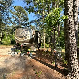 Jellystone Park - Cochran, GA