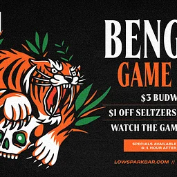 Bengals Game Dey