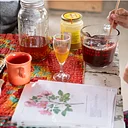 The Healing Power of Roses