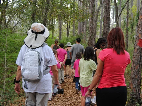 Native Tree Walk with Erin Harlow