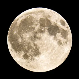 Full Moon Hike
