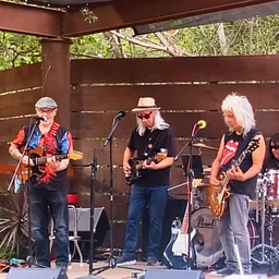 LIVE MUSIC – Blues Asylum