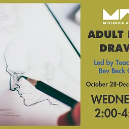 Adult Figure Drawing