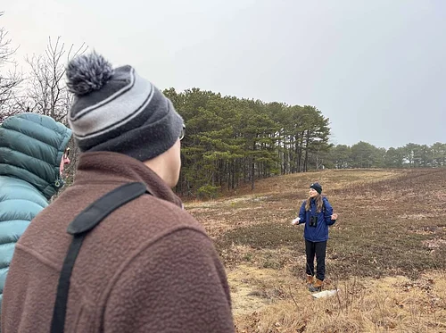 Woodcock Walk (Plymouth)