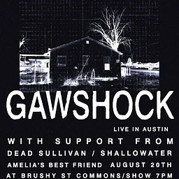 Alley Bar: Gawshock w/ Dead Sullivan, Shallowater, Amelia's Best Friend