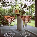 Rosé Wine Dinner