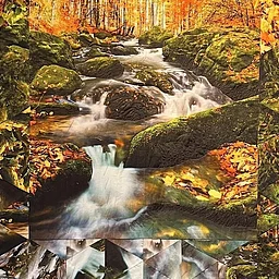 Into the Woods an Art Exhibition by Jana Lankford