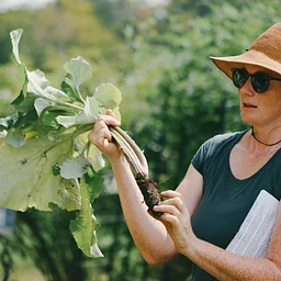 Intro to Fall Herbalism