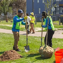 Detroit Community Tree Planting
