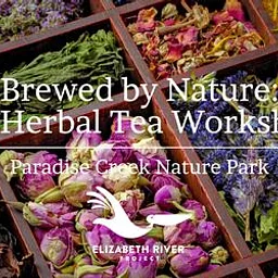 Brewed by Nature: An Herbal Tea Workshop