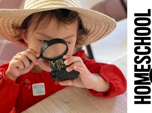 Homeschool Hours | STEAM