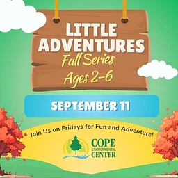 Little Adventures Fall Series