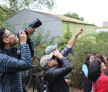 Spring Bird Walk with NYC Bird Alliance